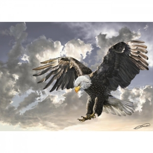 Siyah Beyaz 500 Parça Puzzle