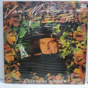 Van Morrison - A Sense Of Wonder