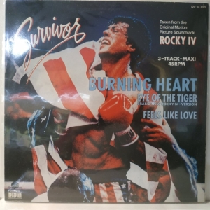 Survivor - Burning Heart